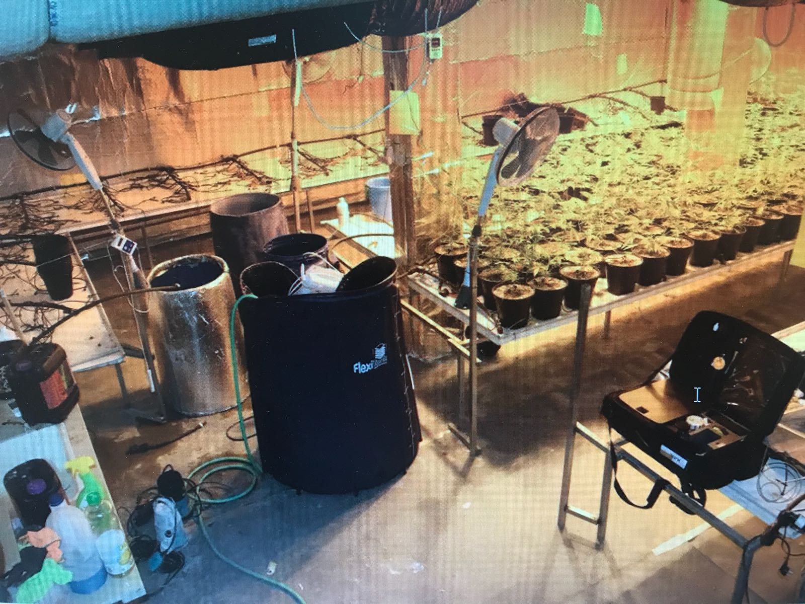 צילום דוברות משטרה