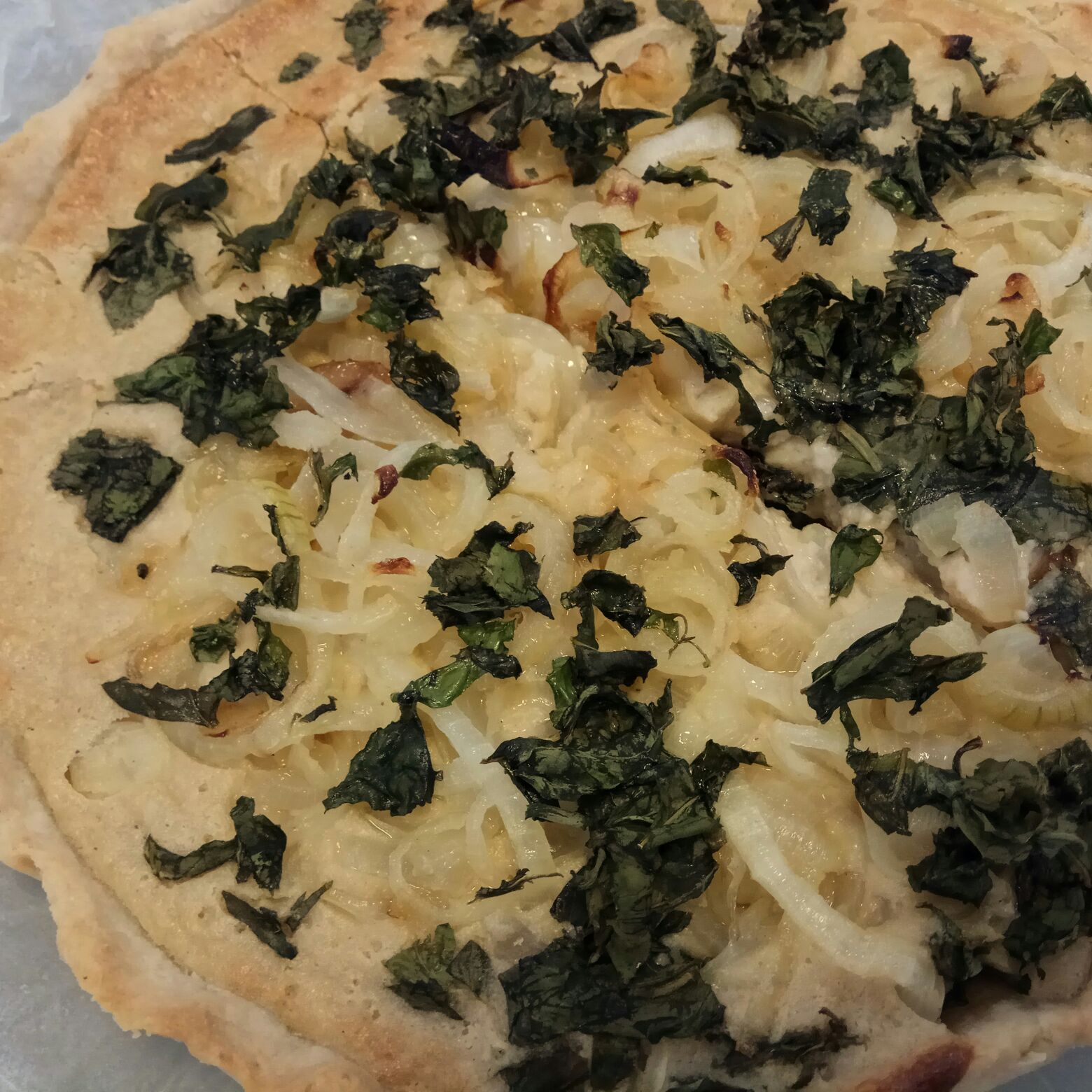 קיש בצל טבעוני כשר לפסח. צילום: תום בעבור