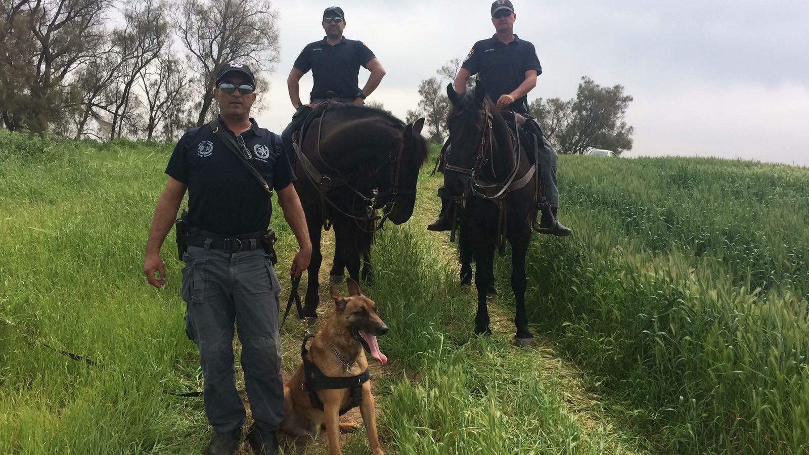 צילום דוברות משטרת ישראל