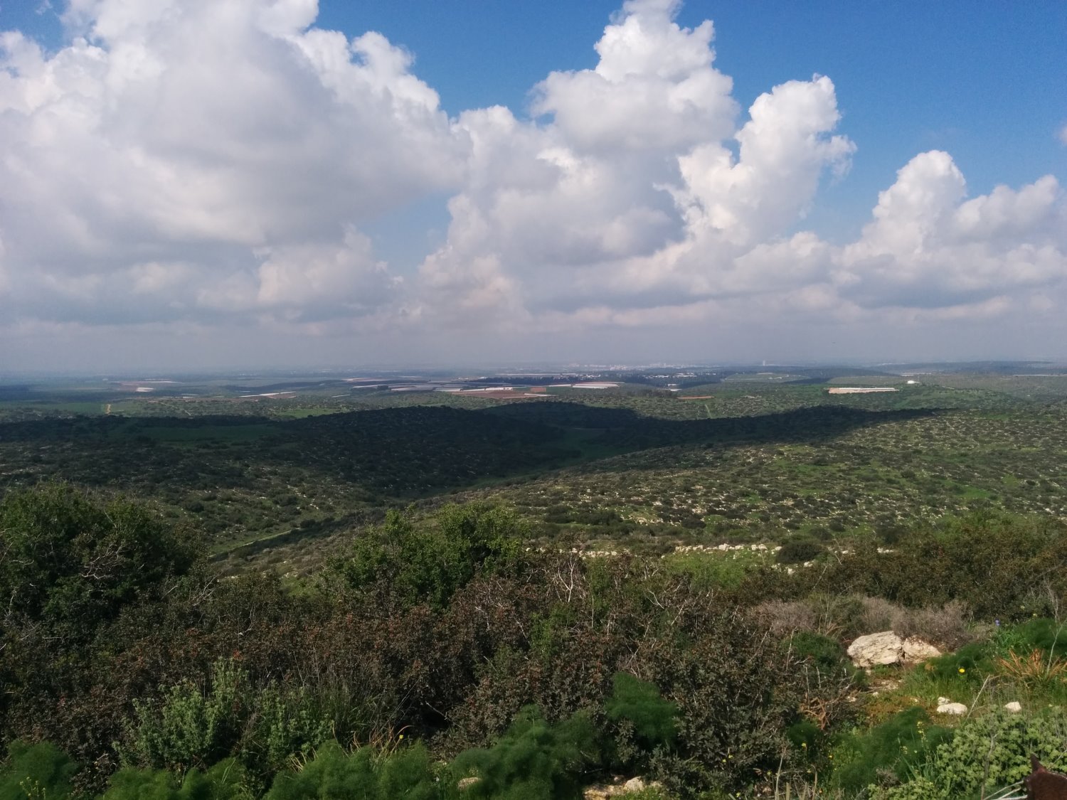 חבל לכיש, צילום: יורם טויטו
