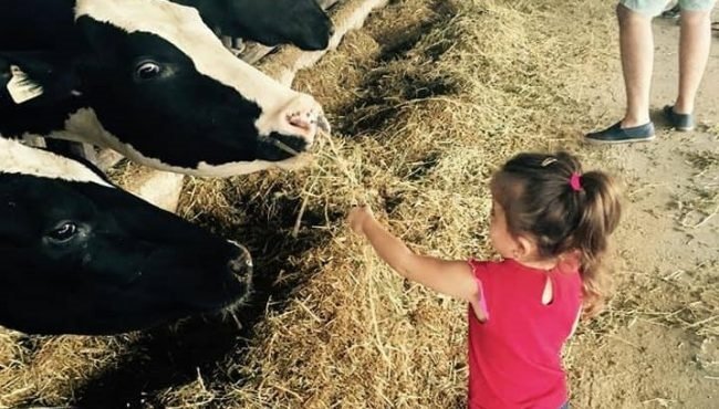 רפת ניר בנים