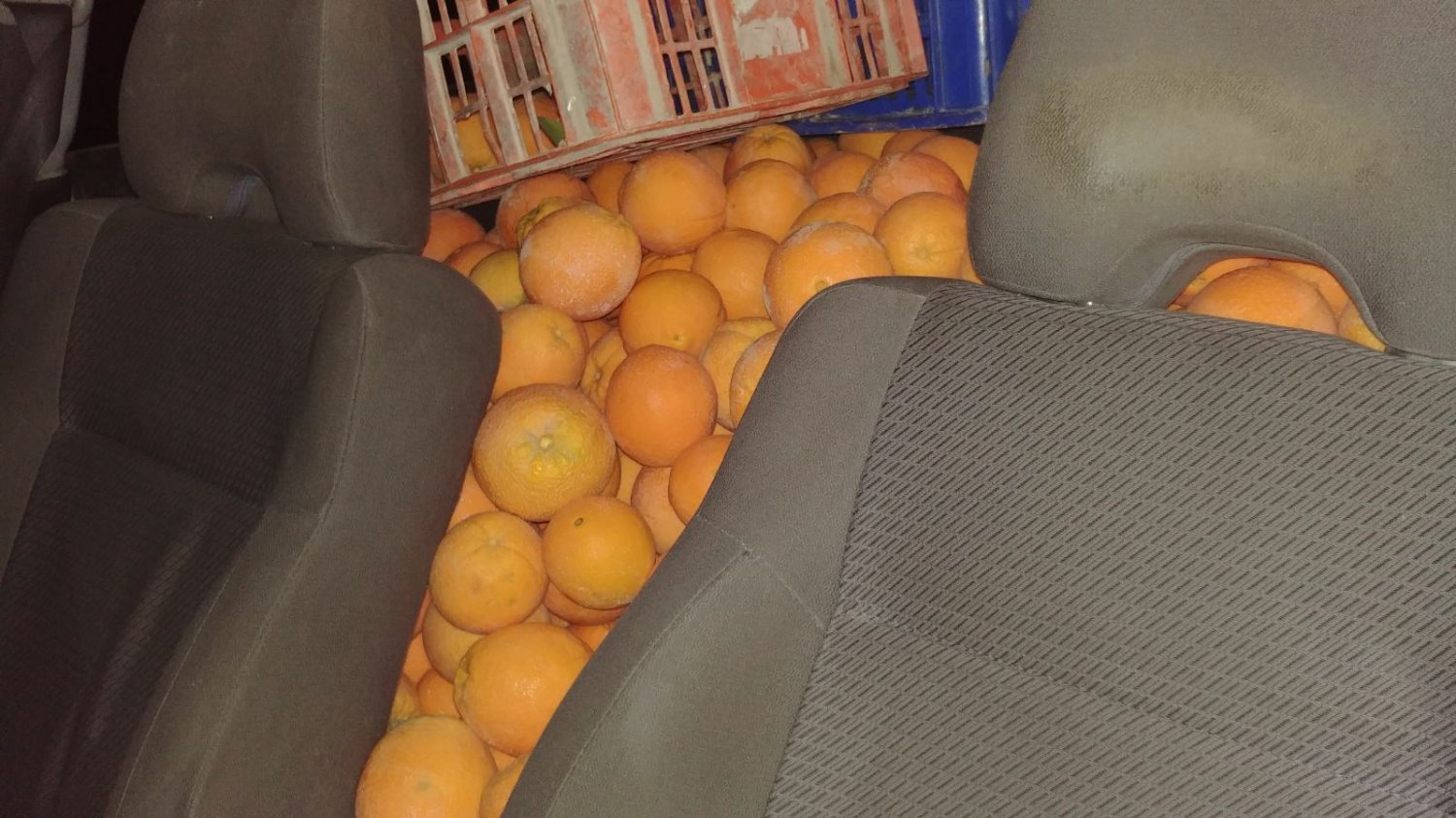 צילום משטרת ישראל