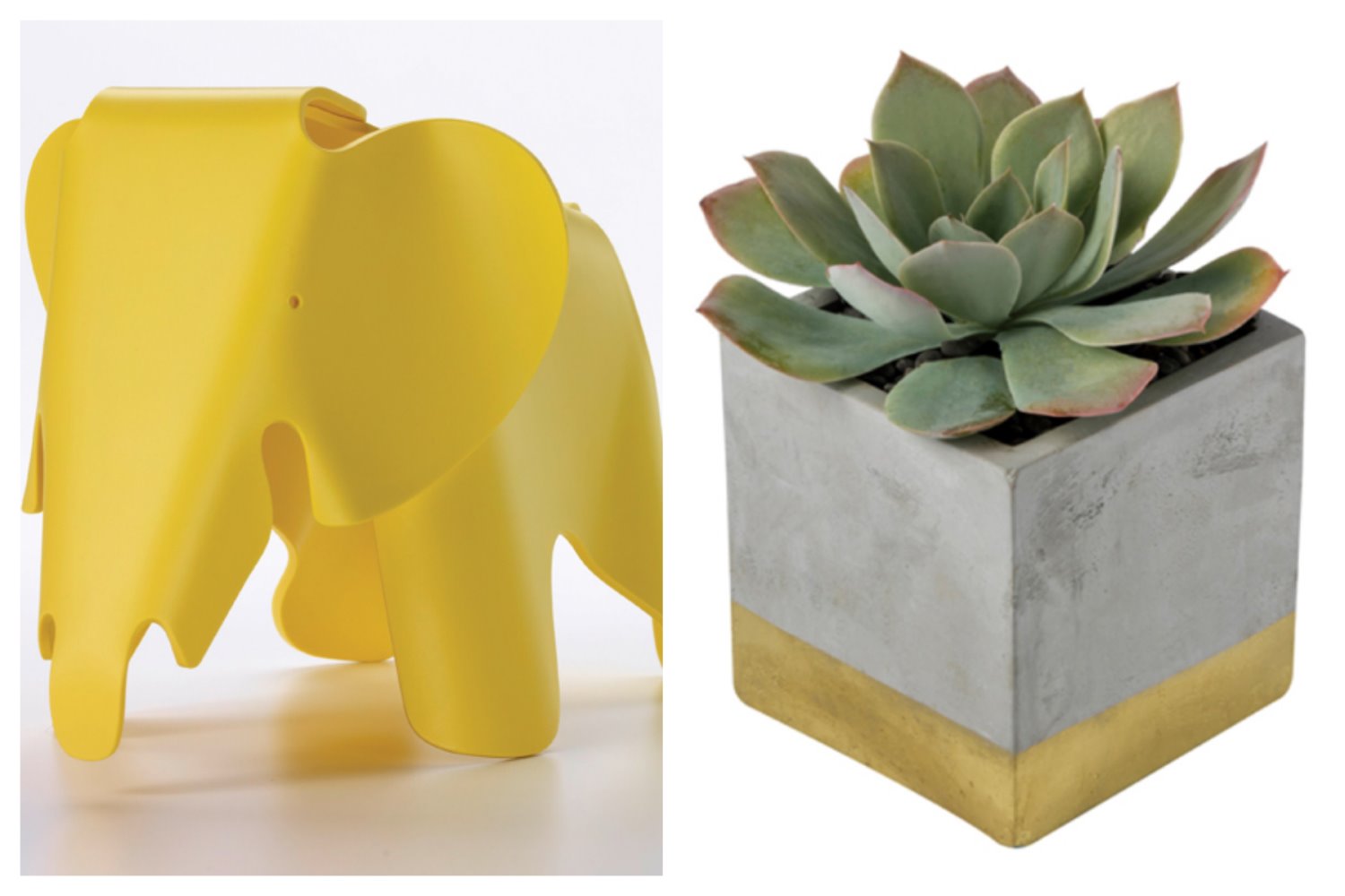 סוקולנט, זר פור יו, 89 שקל, צילום: קית גלסמן. פיל, הביטאט, 1,115 שקל.