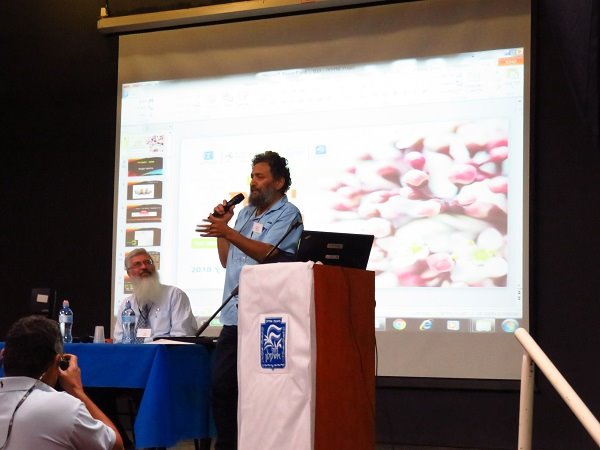 צילום: אלעזר לרנר