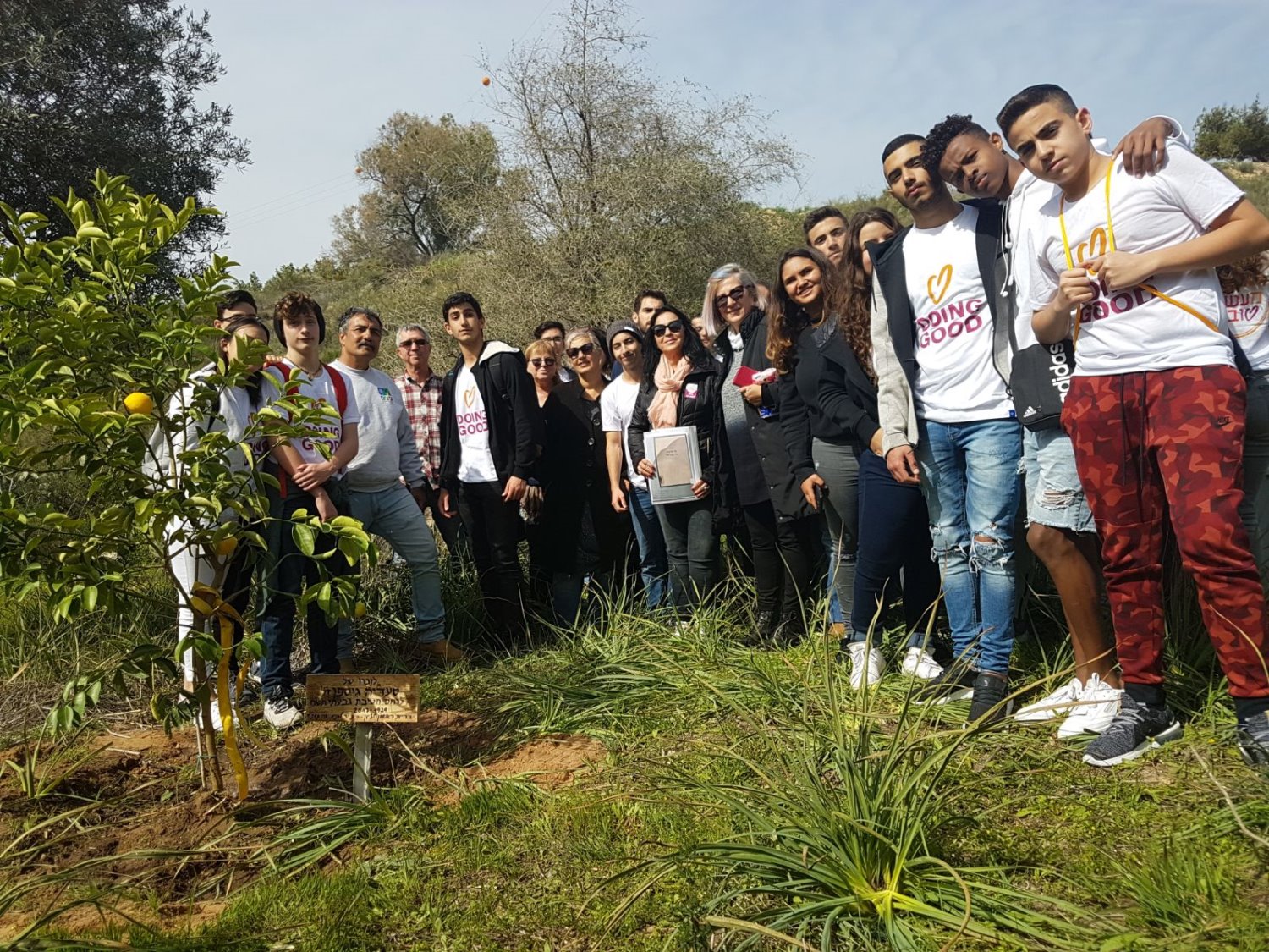 עץ לסעדיה ז"ל - צילום יאיר הרוש