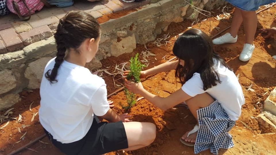 מ.א חוף אשקלון