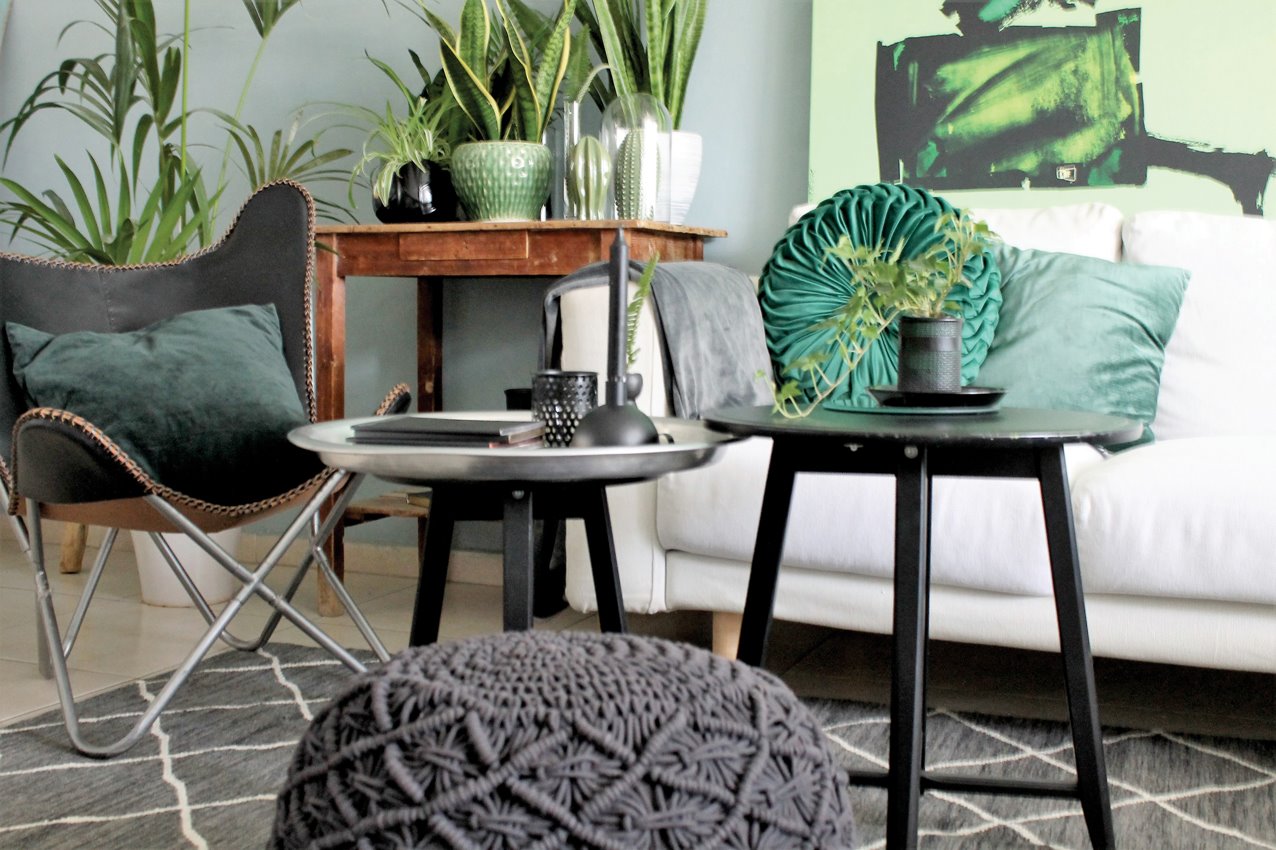 שילוב צמחייה בעיצוב הבית, במסגרת סדנה למעצבות פנים בביתה של לימור אורן. צילום: לימור אורן