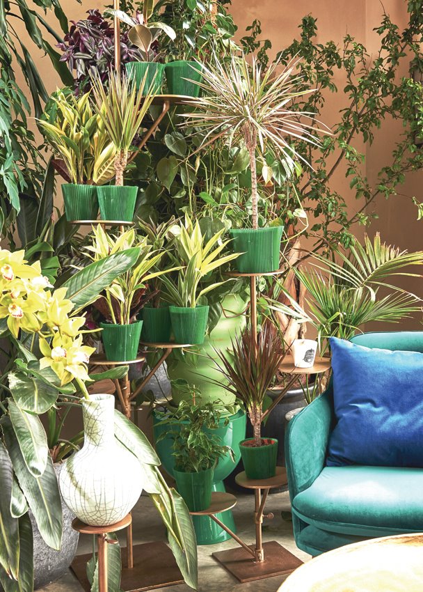 ג'ונגל בבית – הצעת הגשה עיצובית, קולקציית Pols Potten בגלוריה מונדי. צילום: יח"צ