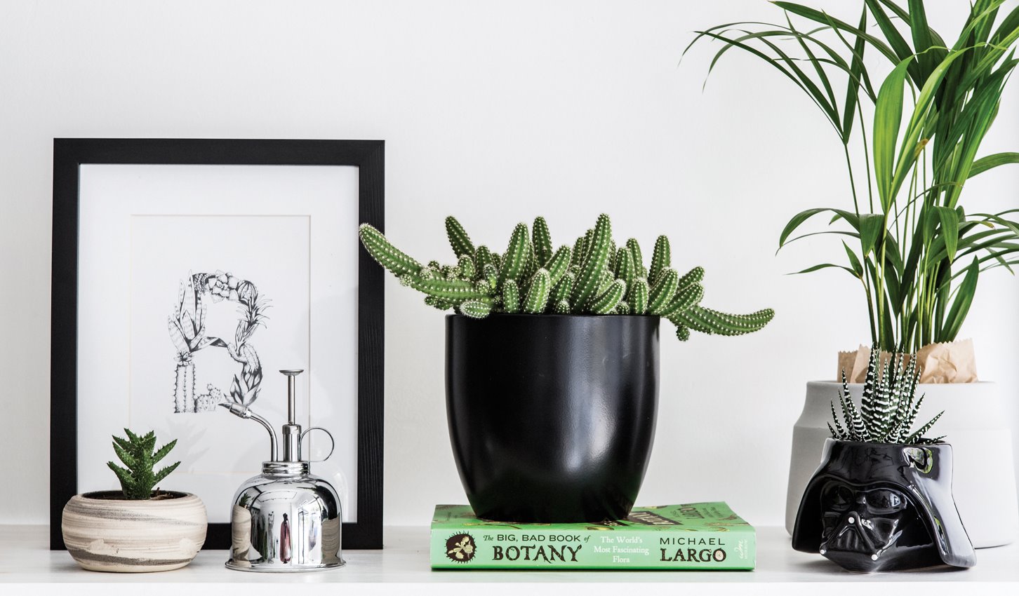 חנות אורבנית רק לעציצים וצמחים, We Love Plants