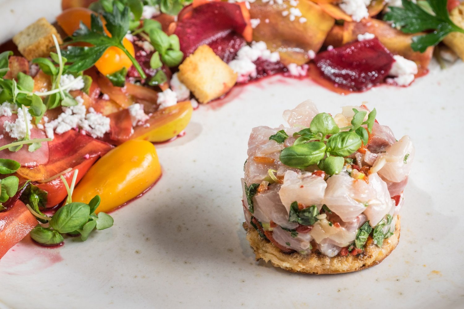 טרטר בורי בסוהו. צילום: איציק בראל