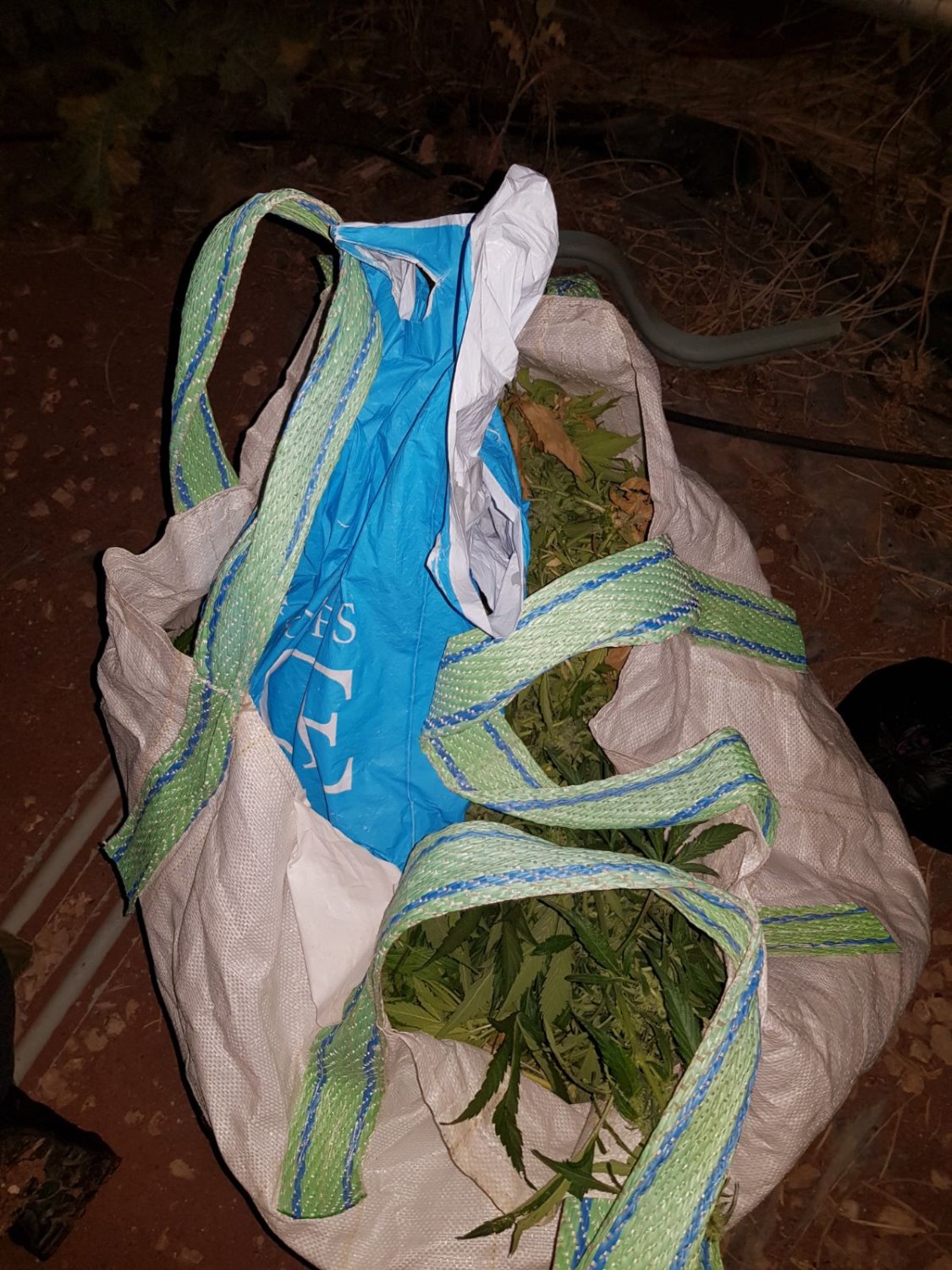 צילום דוברות משטרה