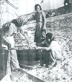 צילום ארכיון מ.א חוף אשקלון