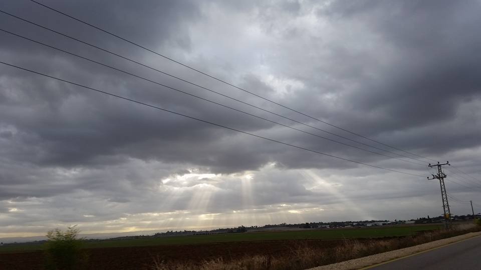 צילום: עופר אשטוקר