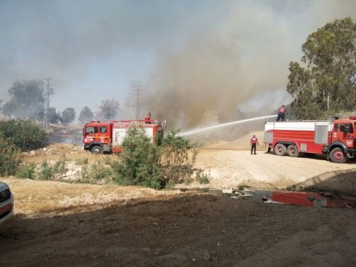 ארכיון כב&quot;ה