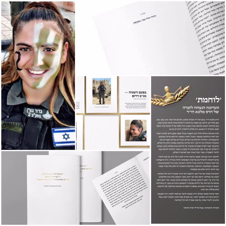 התערוכה "לוחמת"