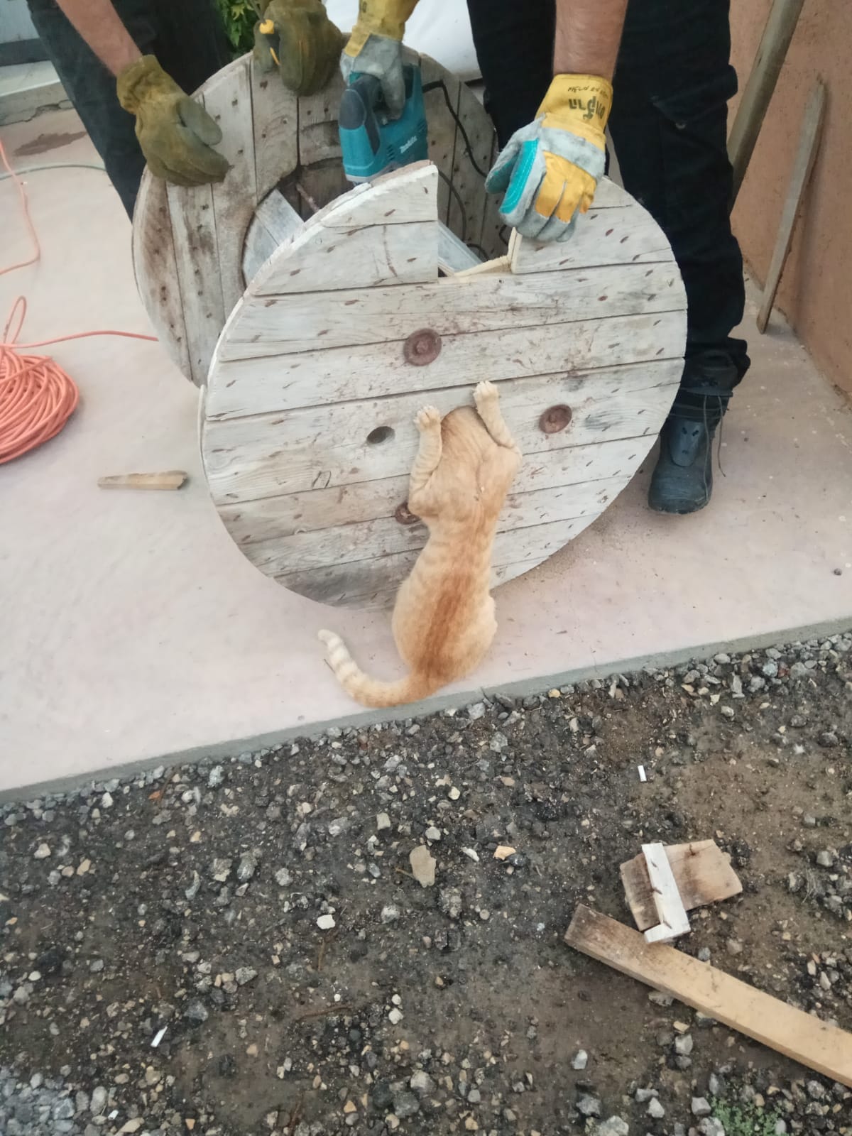 כב"ה מחוז דרום