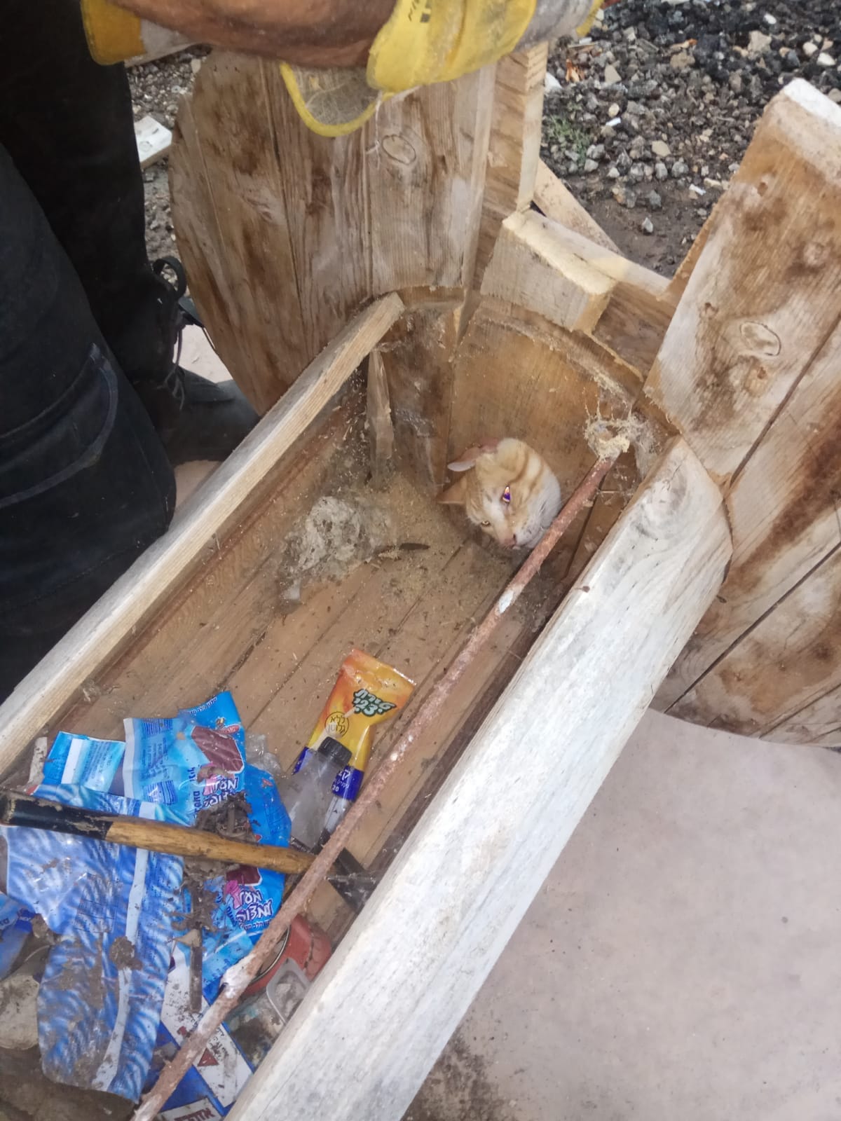 כב"ה מחוז דרום