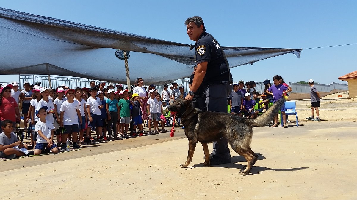 צילום : יאיר הרוש