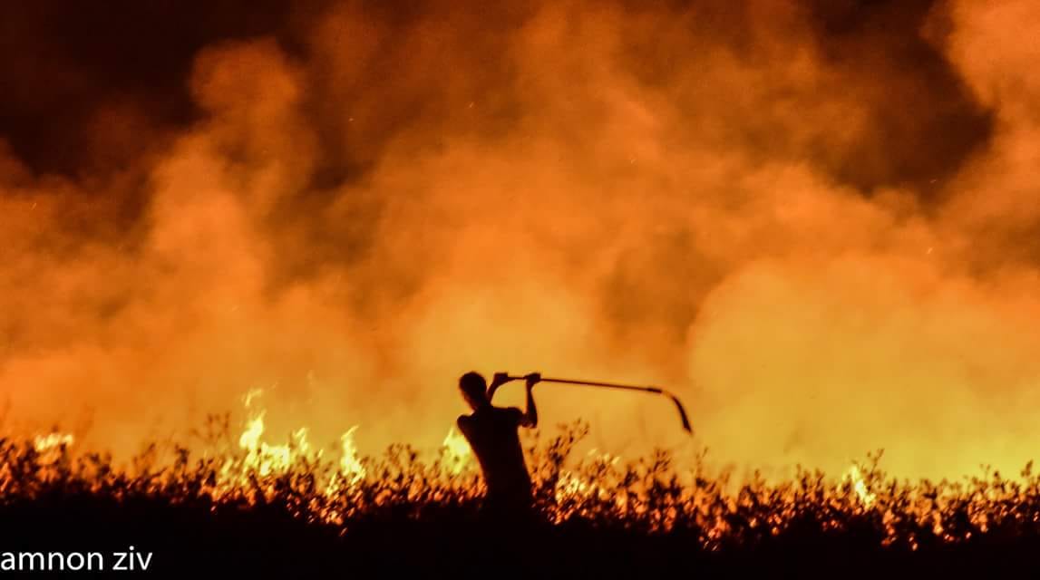 צילום אמנון זיו
