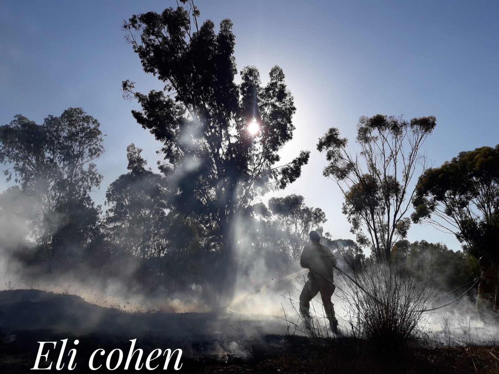 צילום אלי כהן