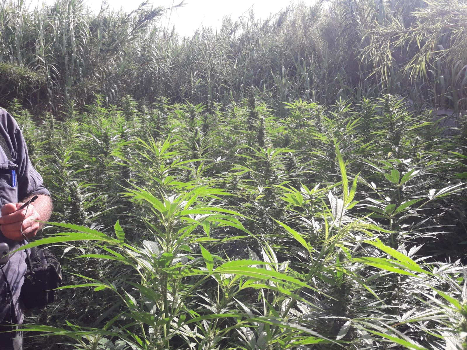 צילום דוברות משטרה