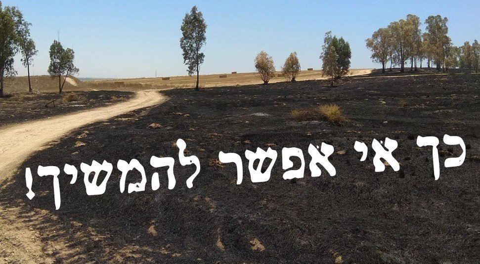  באדיבות אתר :נשים עושות שלום