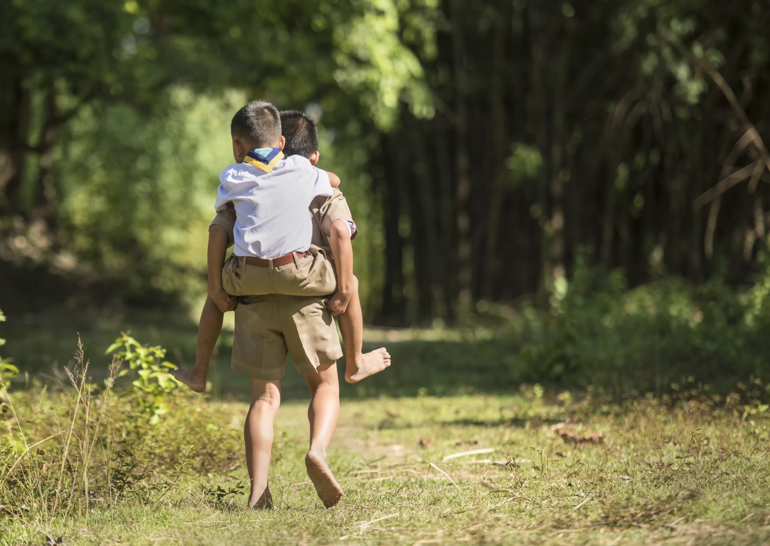 המחשה: shutterstock