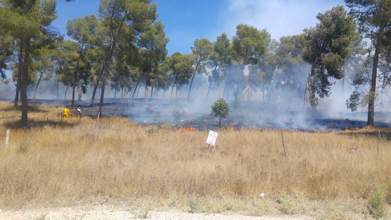 דוברות משטרה