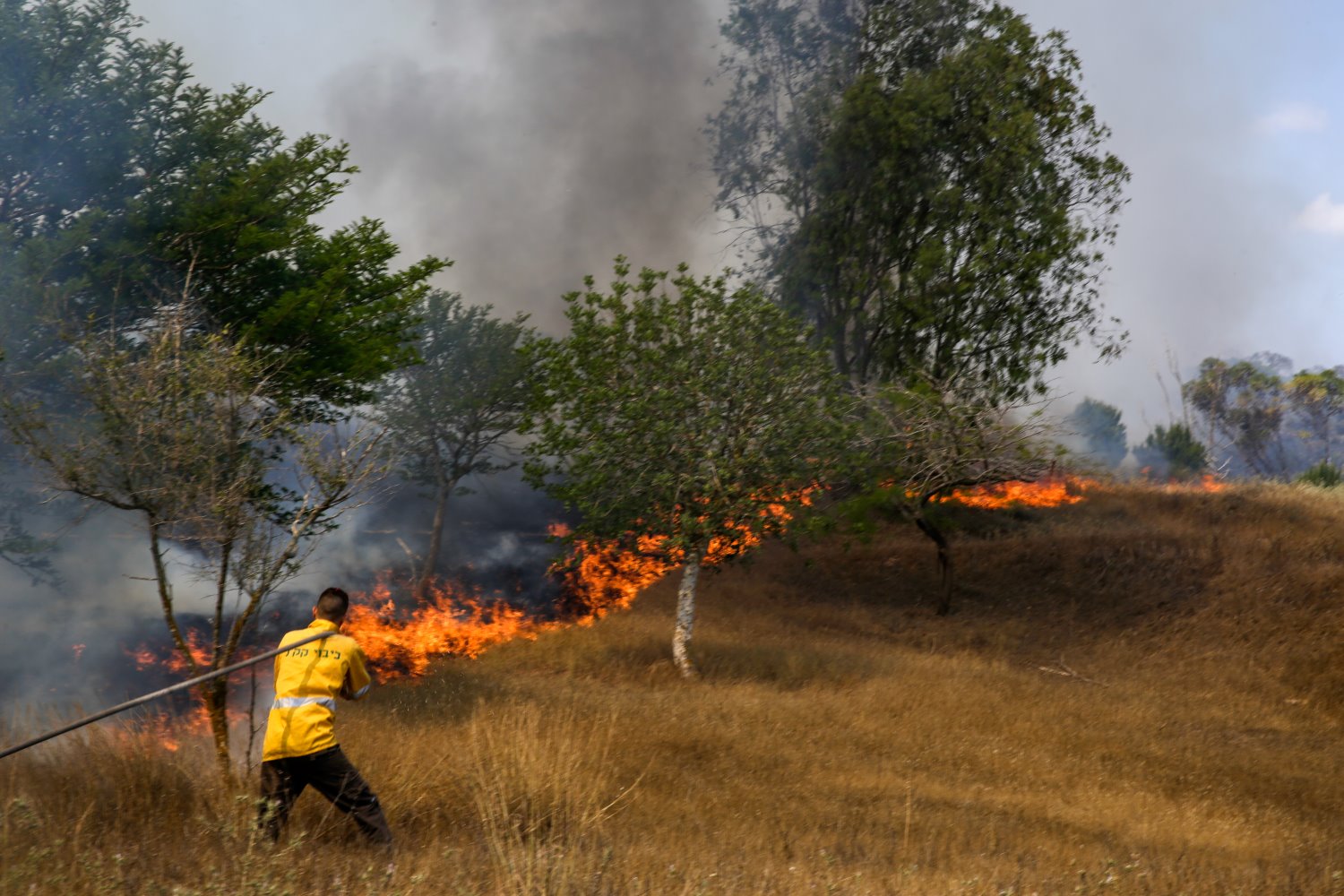 נלחמים בשרפות צילום יהודה פרץ קק"ל