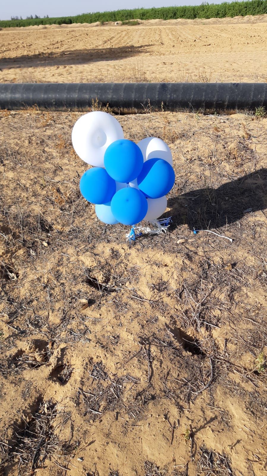 דוברות מ.א אשכול