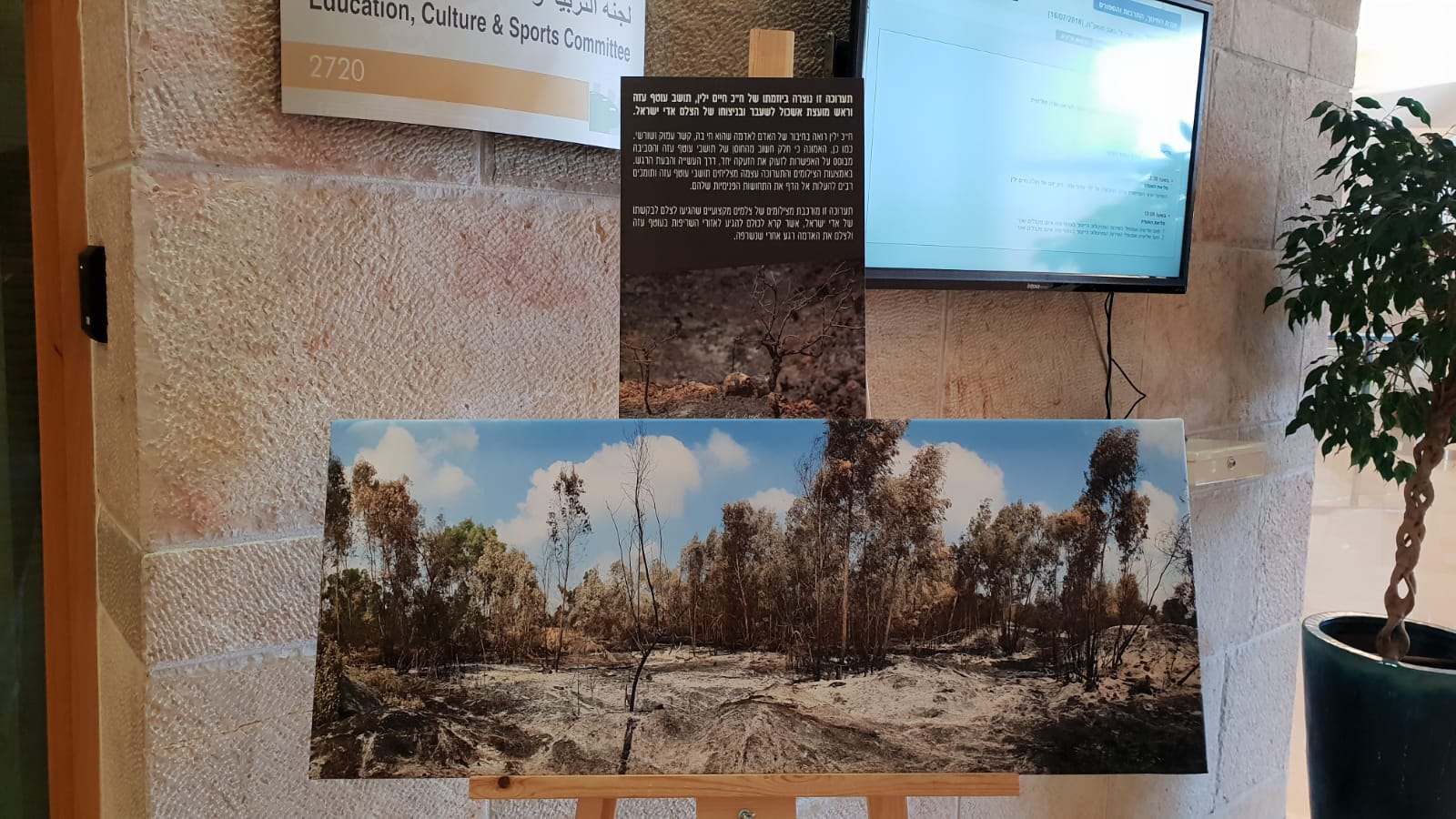 תערוכה דרום שחור