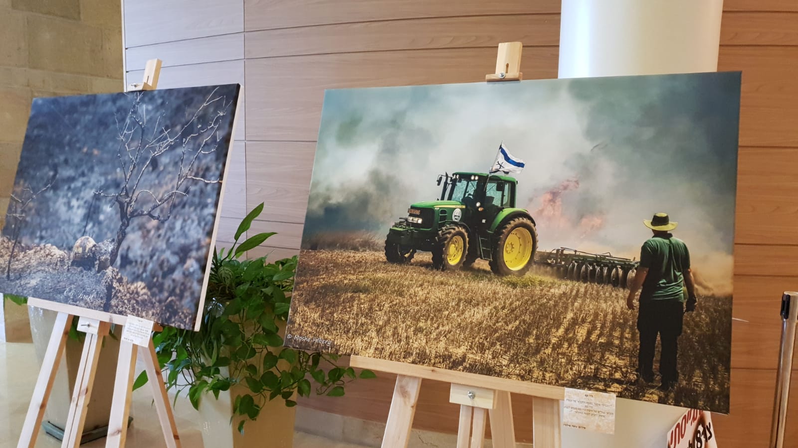 תערוכה דרום שחור