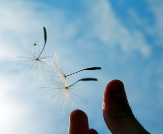 אילוסטרציה. צילום: freepik