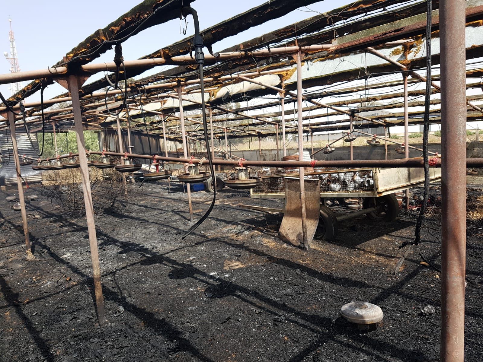 לול שנשרף -   צילום ביטחון אשכול 