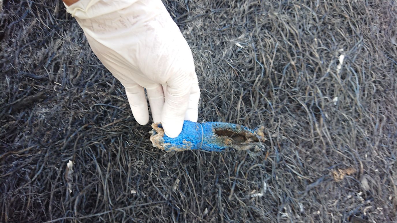 דוברות כב"ה דרום