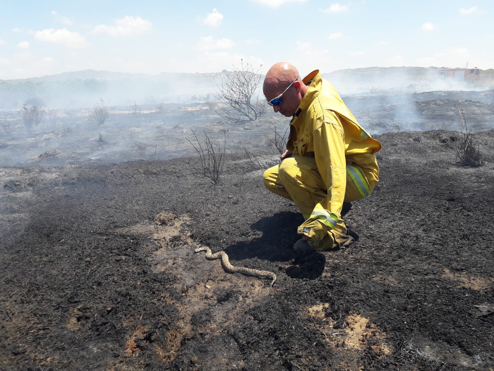 דוברות כב"ה דרום