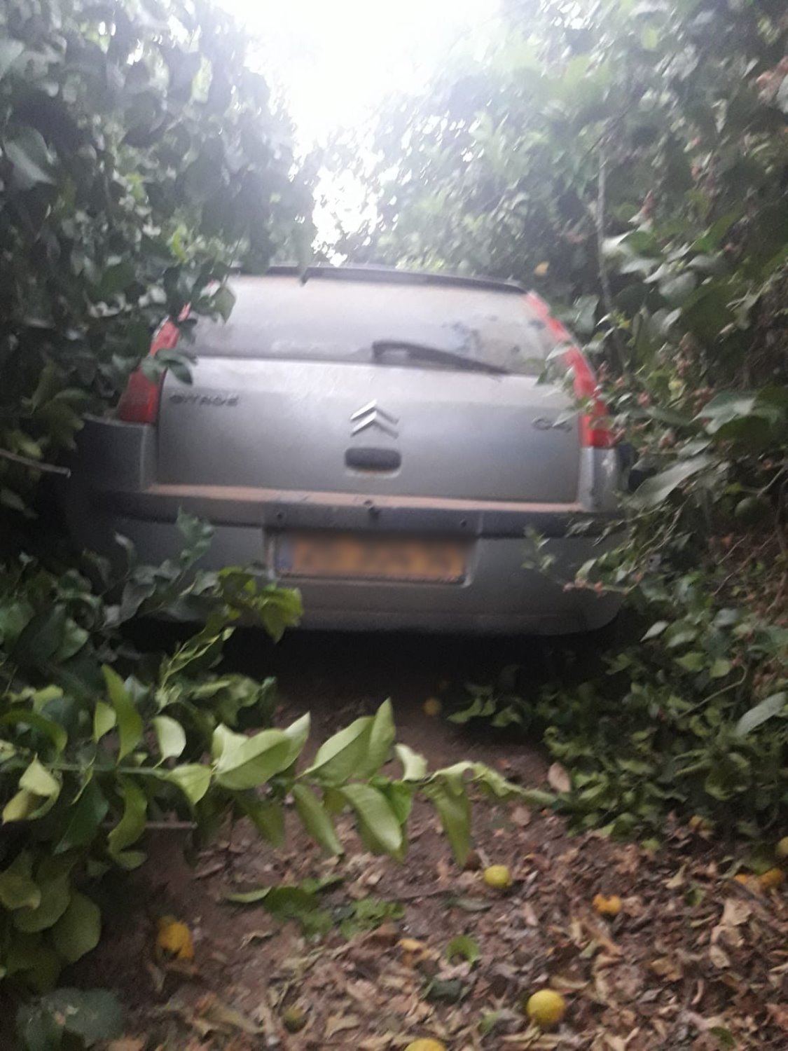 דובורת משטרה