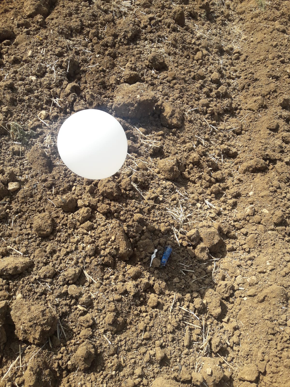 צילום שיטור קהילתי