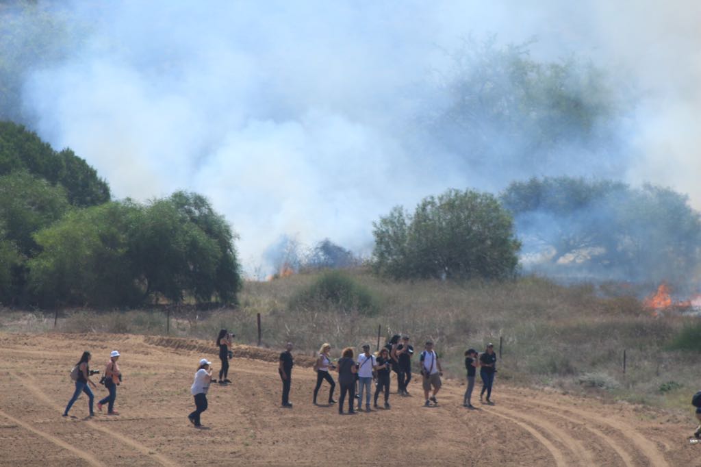 צילום פלדמן צביקה