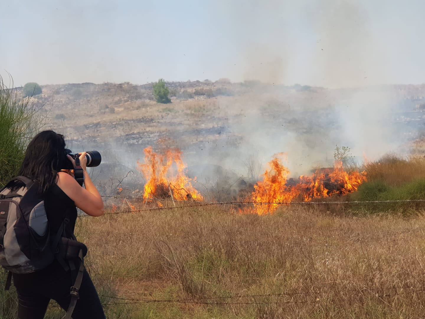 צילום אלדה נתנאל
