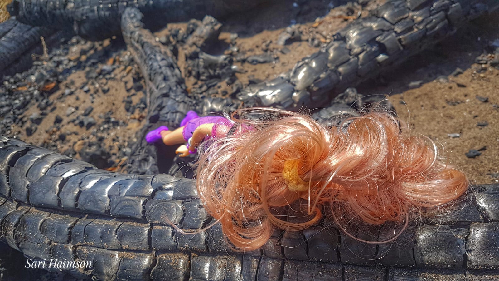 צילום שרי חיימזון