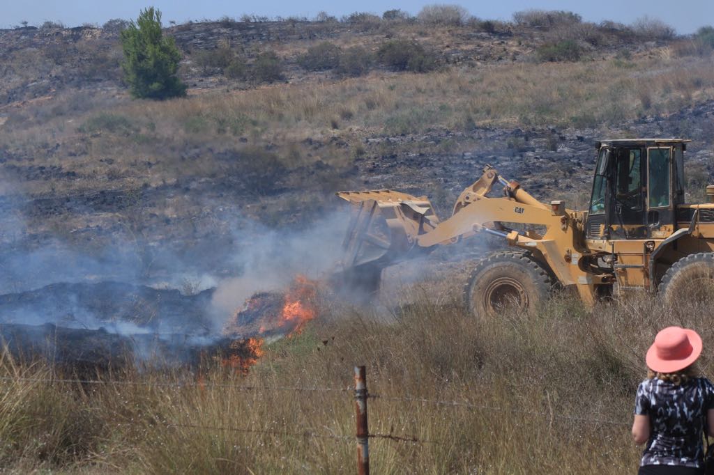 צילום פלדמן צביקה