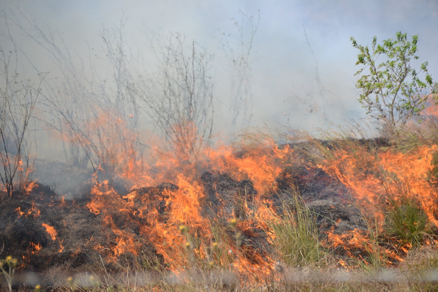 צילום ארכיון