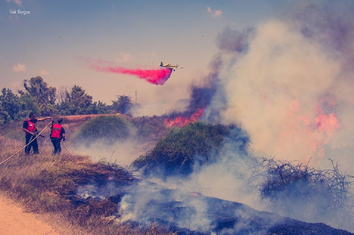 צילום איציק איפרגן