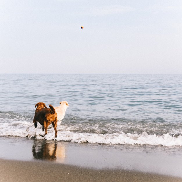 אילוסטרציה. צילום: freepik