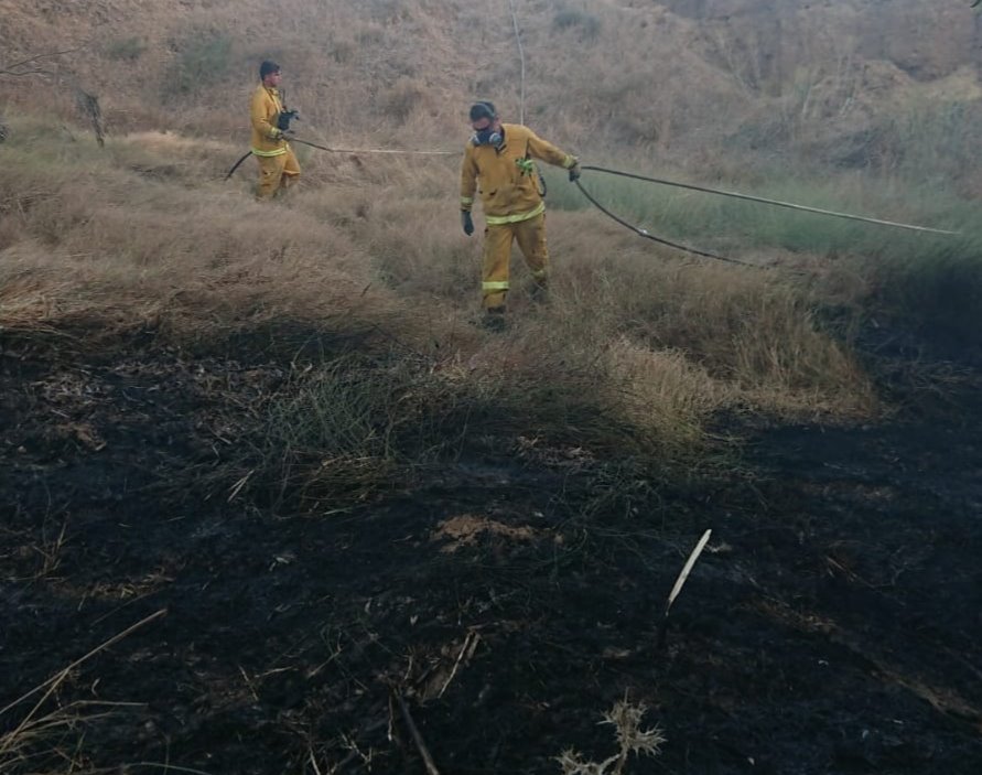 דוברות כב"ה דרום