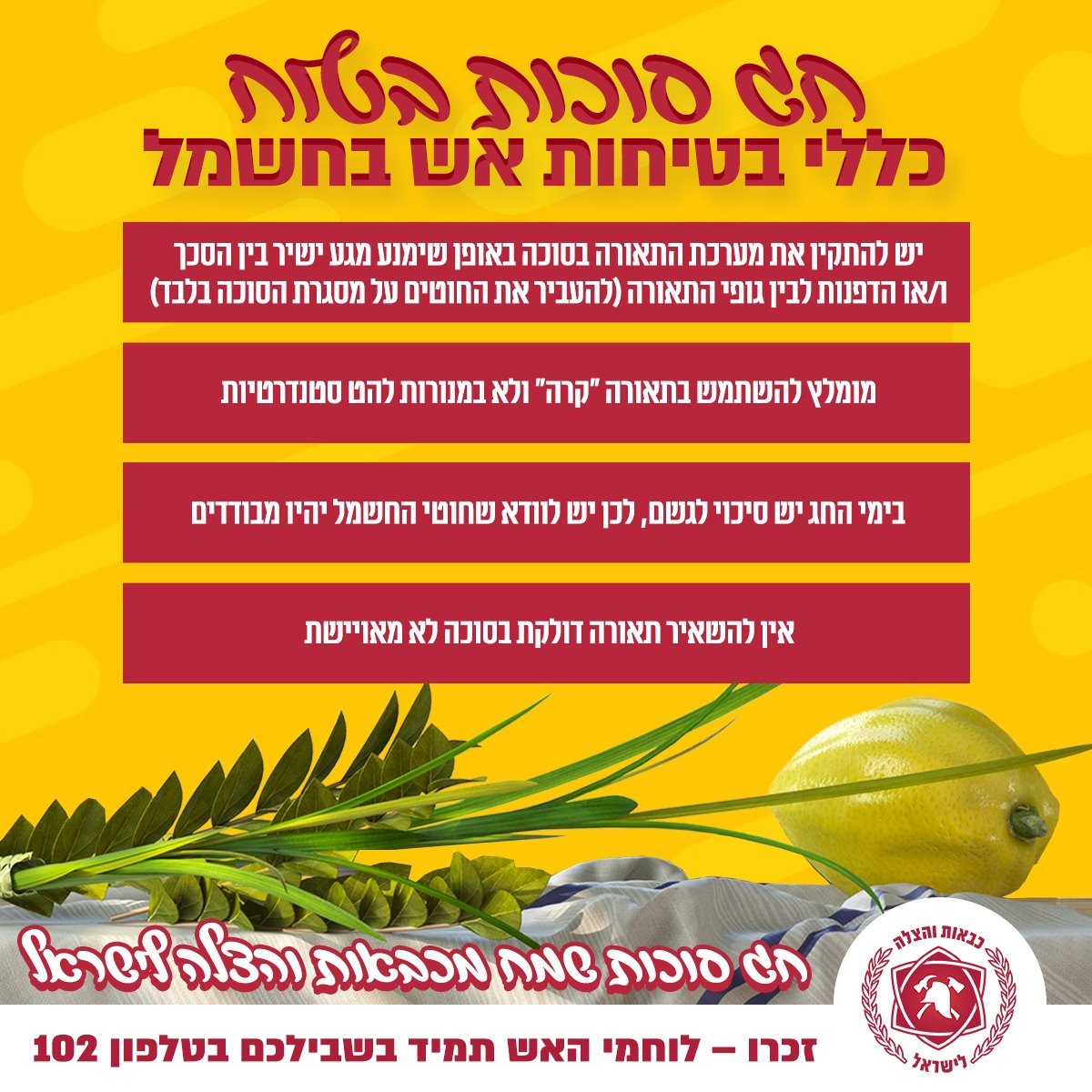 צילום: דוברות מד&quot;א