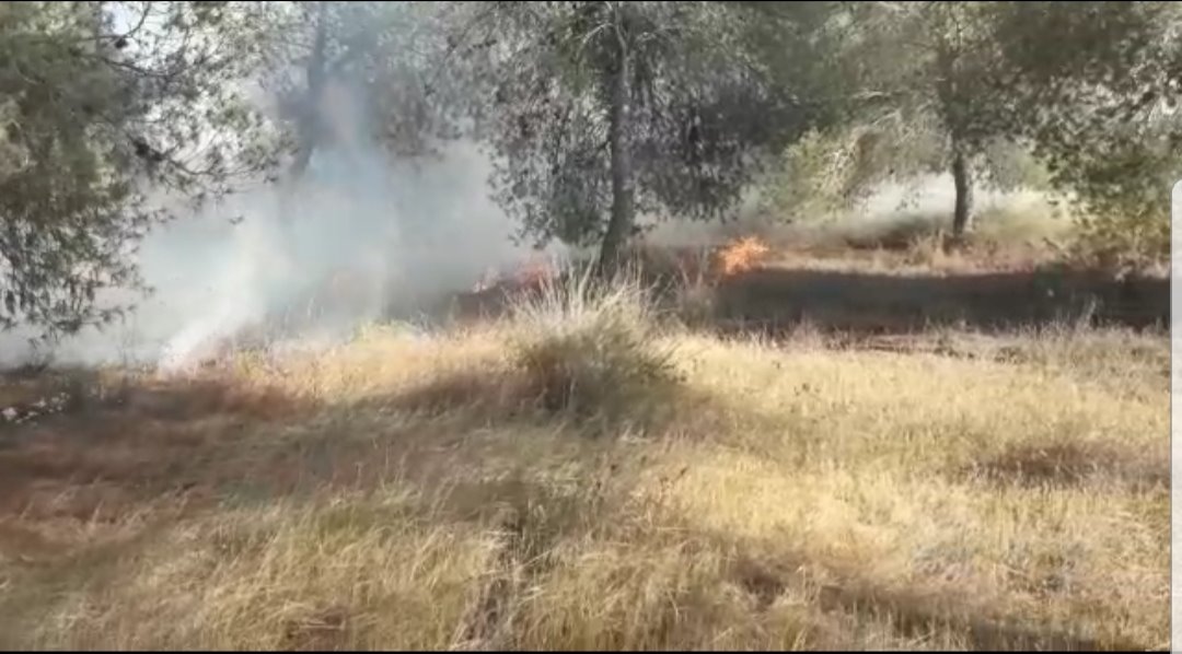 שריפה בעוטף עזה 