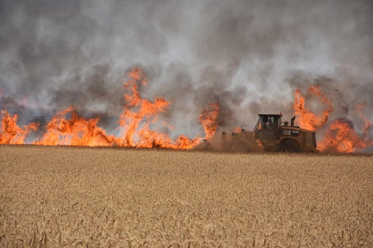 צילום זהר שפק כפר עזה
