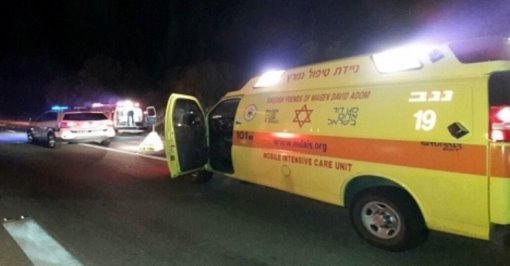 דוברות מד&quot;א